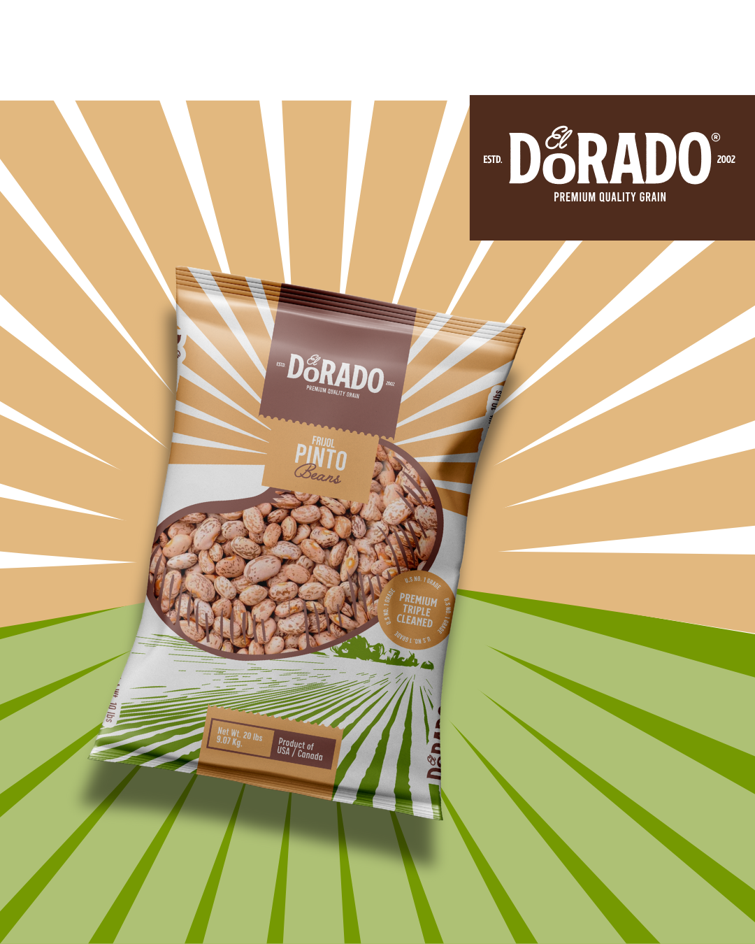 Pinto Beans – "El Dorado" Premium Quality Grain