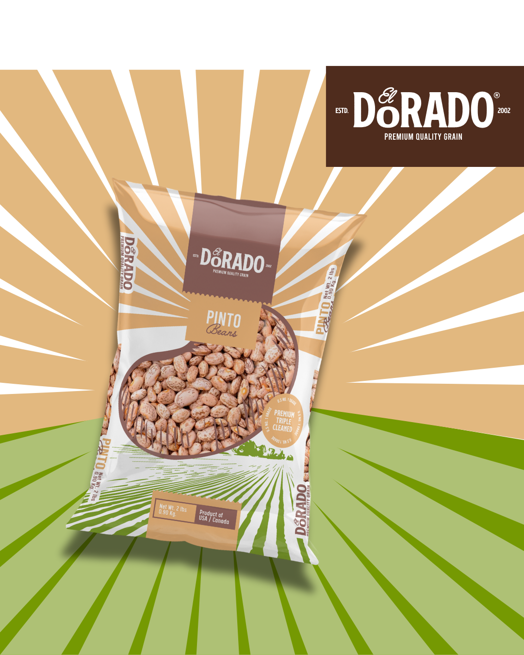 Pinto Beans – "El Dorado" Premium Quality Grain