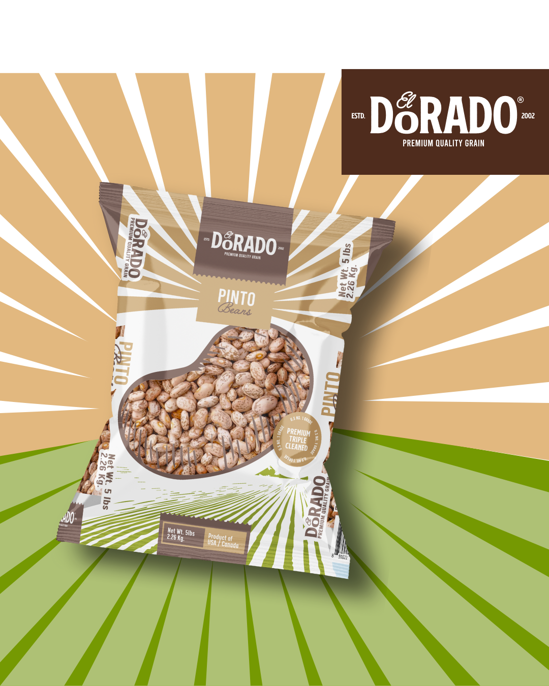 Pinto Beans – "El Dorado" Premium Quality Grain
