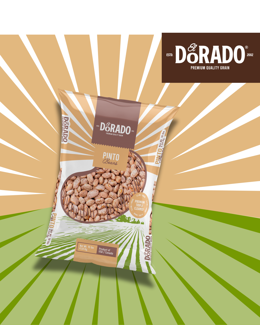 Pinto Beans – "El Dorado" Premium Quality Grain