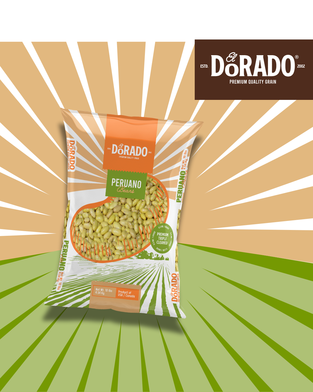 Yellow / Peruano Beans – "El Dorado" Premium Quality Grain